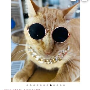 Round Rose Black Gold Frame Sunglasses Set for Pets